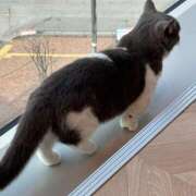 ヒメ日記 2026/01/28 17:06 投稿 はるな One More 奥様　錦糸町店