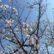 ヒメ日記 2026/03/29 09:53 投稿 はるな One More 奥様　錦糸町店