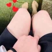 ヒメ日記 2024/12/27 16:46 投稿 まき 新潟市鳥屋野潟ちゃんこ