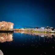 ヒメ日記 2025/04/12 08:06 投稿 まき 新潟市鳥屋野潟ちゃんこ