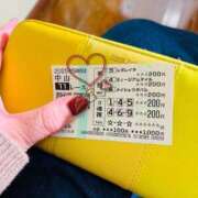 ヒメ日記 2025/12/28 18:15 投稿 まき 新潟市鳥屋野潟ちゃんこ