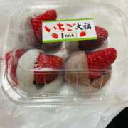 ヒメ日記 2026/03/11 12:13 投稿 まき 新潟市鳥屋野潟ちゃんこ