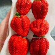 ヒメ日記 2026/03/23 12:25 投稿 まき 新潟市鳥屋野潟ちゃんこ