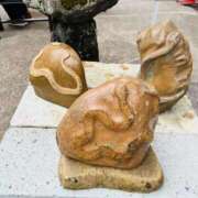 ヒメ日記 2026/03/24 12:16 投稿 まき 新潟市鳥屋野潟ちゃんこ