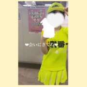 ヒメ日記 2025/05/08 08:53 投稿 ミミ AMOUR（アムール）