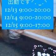 ヒメ日記 2024/12/12 15:31 投稿 みちる マリン土浦本店
