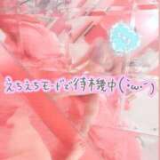 ヒメ日記 2024/12/14 15:47 投稿 みちる マリン土浦本店