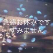 ヒメ日記 2025/03/17 07:12 投稿 みちる マリン土浦本店