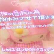 ヒメ日記 2025/05/20 07:17 投稿 みちる マリン土浦本店