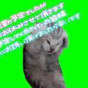 ヒメ日記 2025/06/01 07:41 投稿 みちる マリン土浦本店