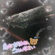 ヒメ日記 2025/07/01 07:11 投稿 みちる マリン土浦本店