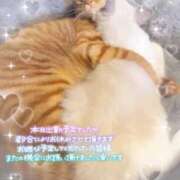 ヒメ日記 2025/08/01 07:11 投稿 みちる マリン土浦本店