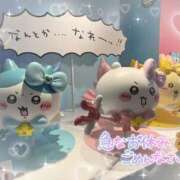 ヒメ日記 2025/08/20 07:01 投稿 みちる マリン土浦本店