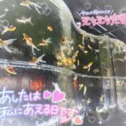 ヒメ日記 2025/09/26 12:23 投稿 みちる マリン土浦本店