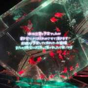 ヒメ日記 2025/10/04 06:41 投稿 みちる マリン土浦本店