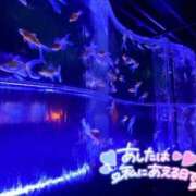 ヒメ日記 2025/10/23 18:47 投稿 みちる マリン土浦本店