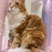 ヒメ日記 2025/09/12 16:37 投稿 ふぁい 池袋あられ