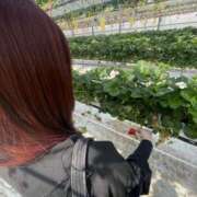 ヒメ日記 2025/04/09 21:18 投稿 しおん MiliM