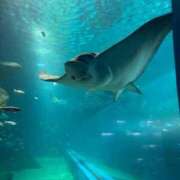 ヒメ日記 2025/09/05 23:50 投稿 うみ しごくなエステ