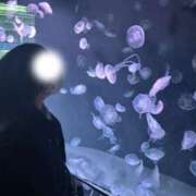 ヒメ日記 2025/09/23 06:20 投稿 うみ しごくなエステ