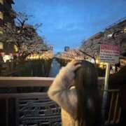 ヒメ日記 2025/09/25 04:50 投稿 うみ しごくなエステ