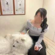 ヒメ日記 2026/04/05 03:45 投稿 うみ しごくなエステ