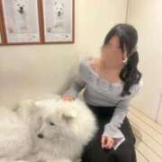 ヒメ日記 2026/04/05 03:50 投稿 うみ しごくなエステ