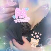 ヒメ日記 2025/01/25 17:45 投稿 ナナ ゴッドハンド