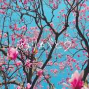 ヒメ日記 2025/03/25 20:04 投稿 ほの 熟女＆人妻＆ぽっちゃり倶楽部