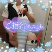 ヒメ日記 2025/01/12 16:00 投稿 柊木らん セクシーキャット 神田店