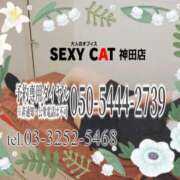 ヒメ日記 2025/01/17 16:00 投稿 柊木らん セクシーキャット 神田店