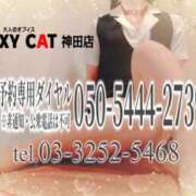 ヒメ日記 2025/03/07 16:00 投稿 柊木らん セクシーキャット 神田店