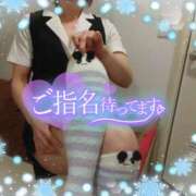 ヒメ日記 2025/03/08 16:01 投稿 柊木らん セクシーキャット 神田店