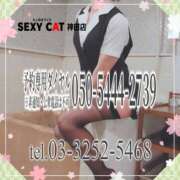 ヒメ日記 2025/03/14 16:52 投稿 柊木らん セクシーキャット 神田店