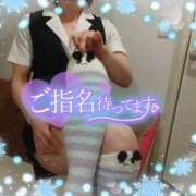 ヒメ日記 2025/03/16 16:00 投稿 柊木らん セクシーキャット 神田店