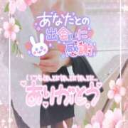 ヒメ日記 2025/04/04 21:23 投稿 柊木らん セクシーキャット 神田店