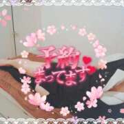 ヒメ日記 2025/04/06 16:00 投稿 柊木らん セクシーキャット 神田店