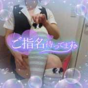 ヒメ日記 2025/04/13 16:00 投稿 柊木らん セクシーキャット 神田店