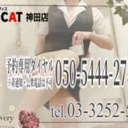 ヒメ日記 2025/04/18 16:00 投稿 柊木らん セクシーキャット 神田店