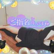 ヒメ日記 2025/04/21 16:00 投稿 柊木らん セクシーキャット 神田店