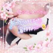 ヒメ日記 2025/04/25 21:16 投稿 柊木らん セクシーキャット 神田店