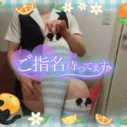 ヒメ日記 2025/05/19 16:00 投稿 柊木らん セクシーキャット 神田店