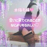 ヒメ日記 2025/05/19 21:36 投稿 柊木らん セクシーキャット 神田店