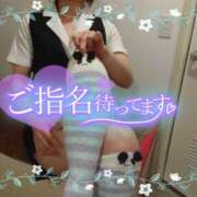 ヒメ日記 2025/05/24 16:00 投稿 柊木らん セクシーキャット 神田店