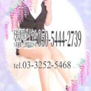 ヒメ日記 2025/05/30 16:00 投稿 柊木らん セクシーキャット 神田店