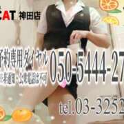 ヒメ日記 2025/06/27 16:00 投稿 柊木らん セクシーキャット 神田店