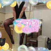 ヒメ日記 2025/07/19 16:00 投稿 柊木らん セクシーキャット 神田店