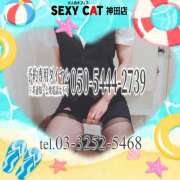 ヒメ日記 2025/08/01 16:00 投稿 柊木らん セクシーキャット 神田店