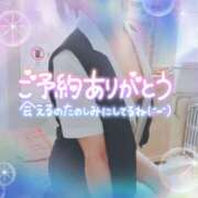 ヒメ日記 2025/08/10 16:00 投稿 柊木らん セクシーキャット 神田店