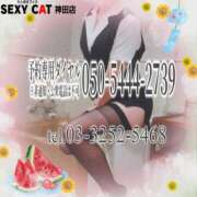 ヒメ日記 2025/08/15 16:00 投稿 柊木らん セクシーキャット 神田店